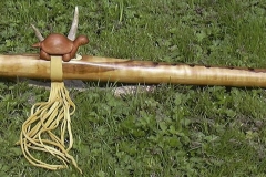 Maple - Turtle - G