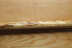Spalted Birch