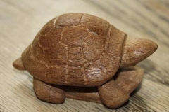 B7 Sea Turtle