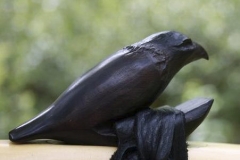 C8 Ebony Crow