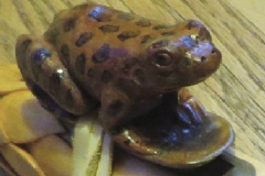 F7 Frog spotted